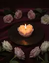 1758647378559.webp
