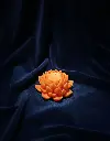 1759418540610.webp