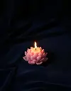 1759419023681.webp