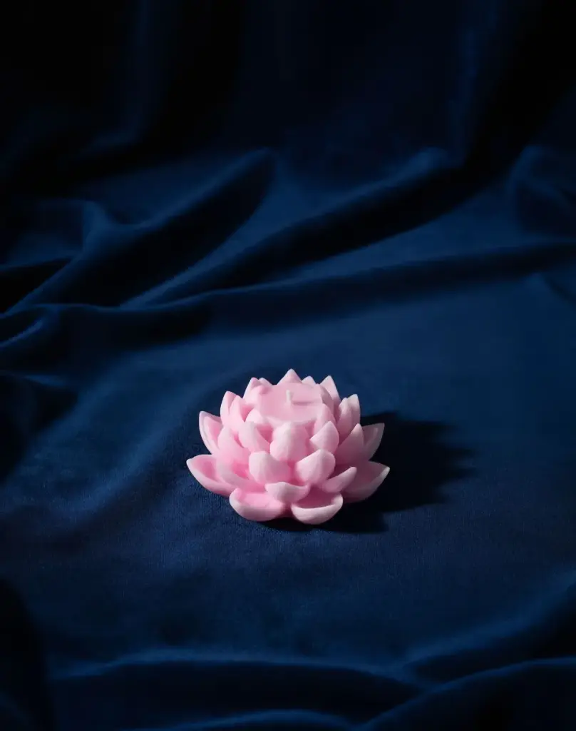 Lotus Big
