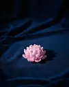 Lotus Big