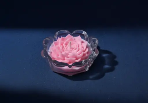 Lotus Bowl