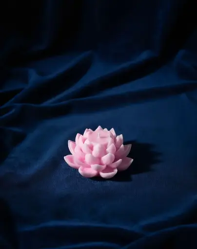 Lotus Big